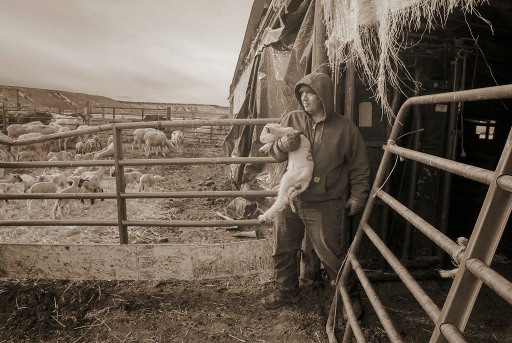 A Cautionary Tale: Discriminatory Lending against Hispanic Farmers and Ranchers in Southern Colorado